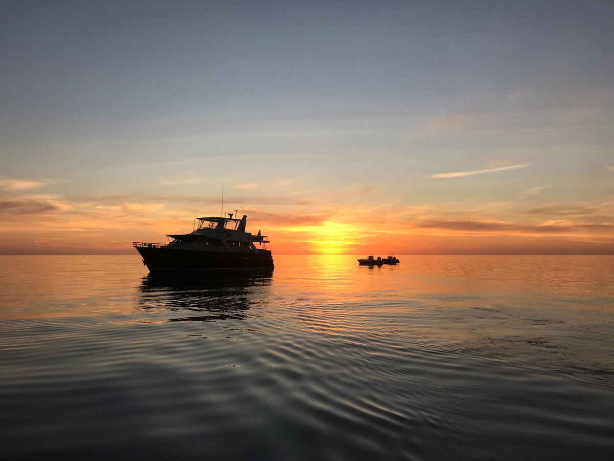 Fleet Sunset on Ocean