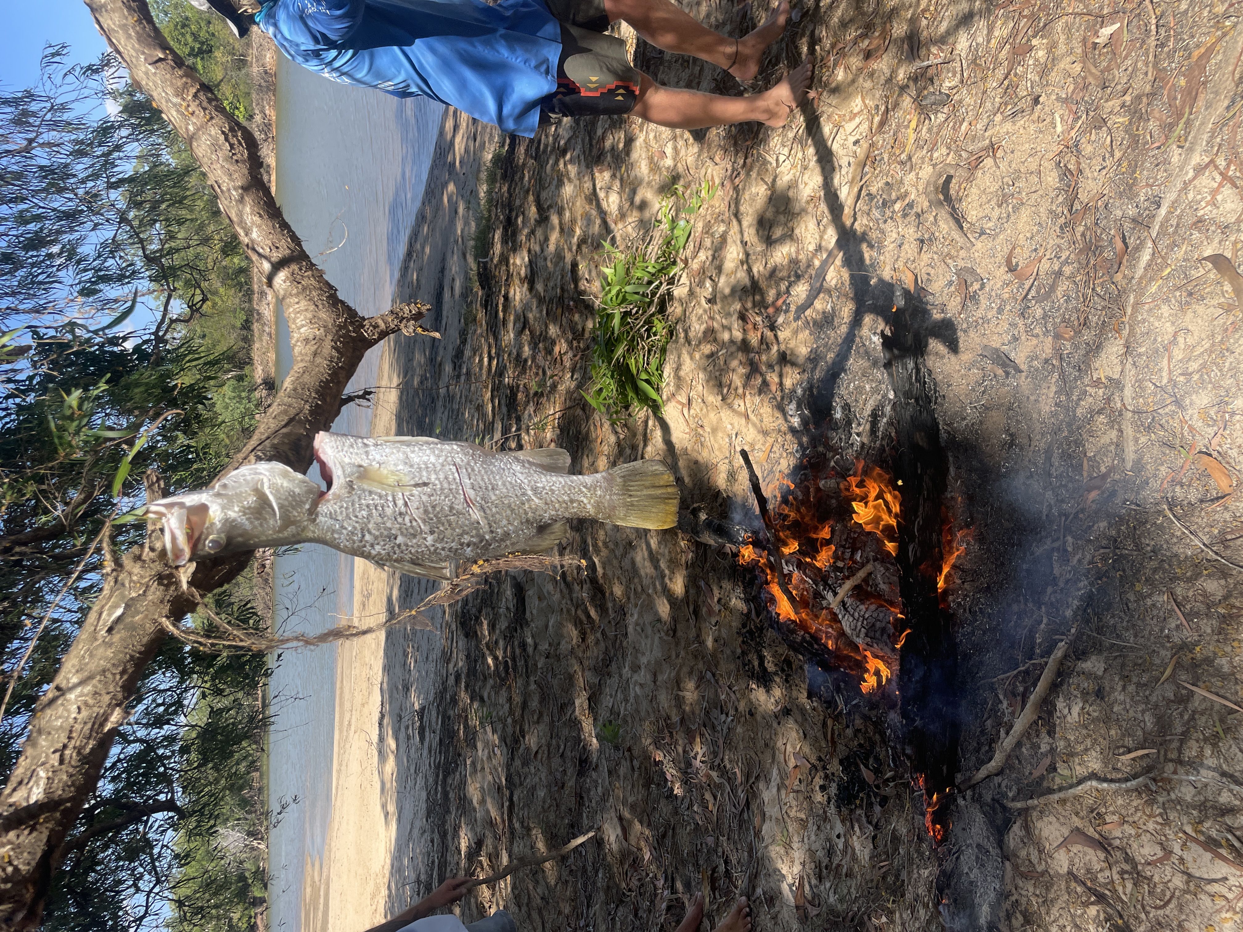 Fresh barbecued Barramundi at remote Cape York