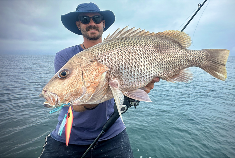 Huge Mangrove Jack caught in Cape York